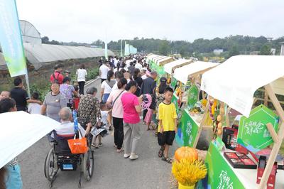 四大主題活動慶豐收，2021年天府新區(qū)農民豐收節(jié)圓滿舉辦