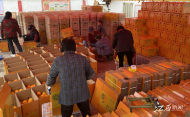 江西崇義 壯大村集體經濟 開創(chuàng)強村富民新局面