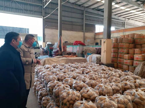 連云港農副產品批發(fā)市場暢通本地蔬菜銷售通道，助力農副產品高效流通