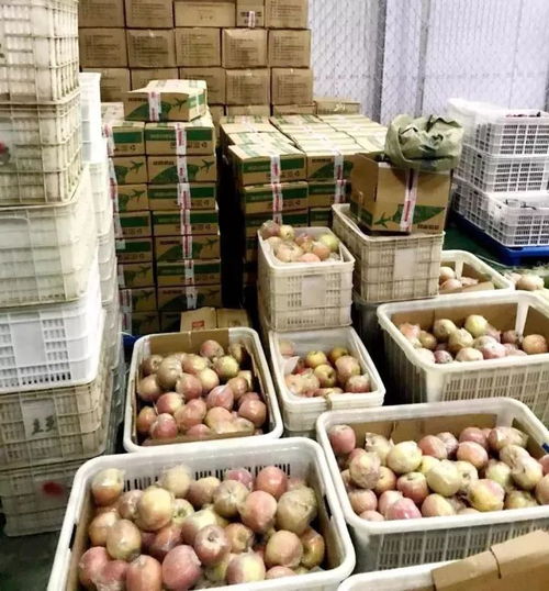 京東濮陽(yáng)館助戶部寨130噸紅富士蘋果銷往全國(guó)，農(nóng)副產(chǎn)品銷售創(chuàng)新模式